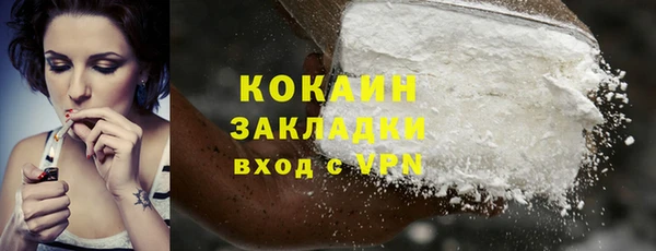 мдпв Карпинск