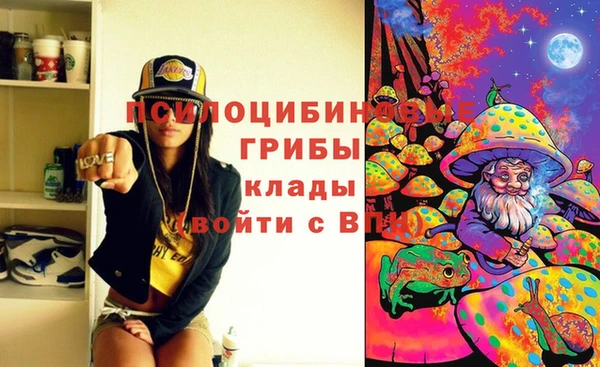 гашиш Касимов