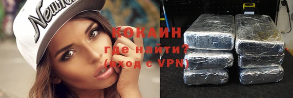 apvp Каменка