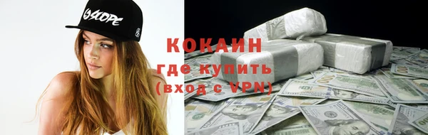 мдпв Карпинск