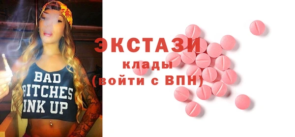 мдпв Карпинск