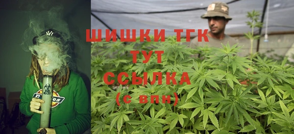 мдпв Карпинск