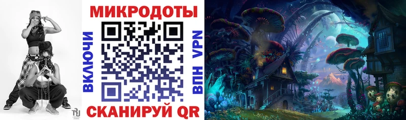 Купить где  Белорецк  Галлюциногенные грибы Psilocybine cubensis 